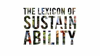 What Is The Lexicon of Sustainability?