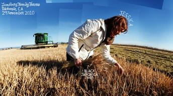 GMOs