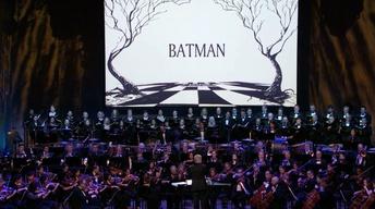 S40 Ep6: Bats, Cats and Penguins