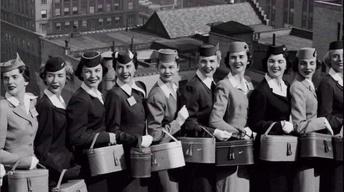 Flight Attendants image