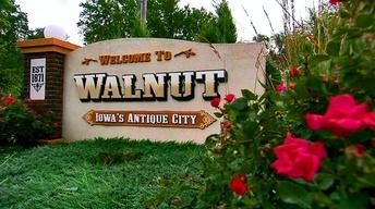 Antiquing in Walnut, IA image