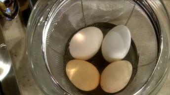 Martha Stewart's Tip: Peeling Eggs image