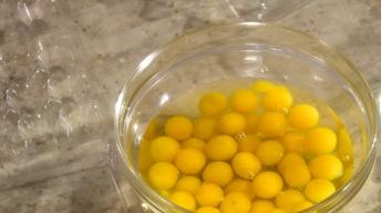 Cracking Quail Eggs image