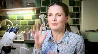 S3: Louise Brealey on Fans and Social Media