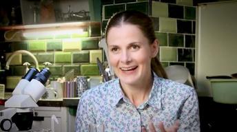 S3: Molly as a Role Model