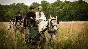 S2: Beyond the Mansion House