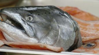 S5: Preview | Season 5 Episode 12: Surf N Turf