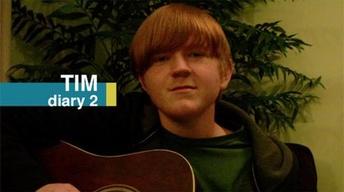 Tim: Diary 2 image
