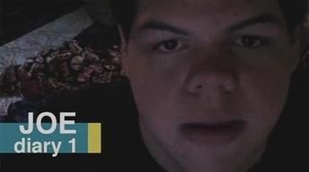 Joe: Diary 1 image