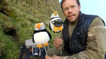 S33 Ep10: Behind the Scenes of NATURE "Animal Homes" | Puffi