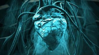 S34 Ep7: The 500-Pound Dinosaur Heart