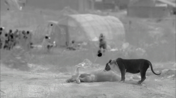 S34 Ep5: Lion Caught on Infrared Camera