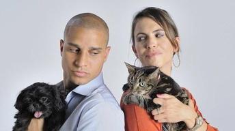 S27 Ep8: Why We Love Cats and Dogs