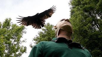 S29 Ep2: A Murder of Crows Preview