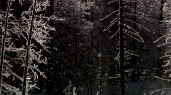 S25 Ep3: Short | Inside the Yellowstone Lodge | Christmas in