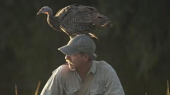 S29 Ep4: My Life as a Turkey - Preview