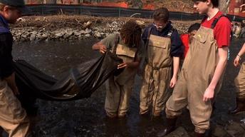 S31 Ep10: The Eel Project