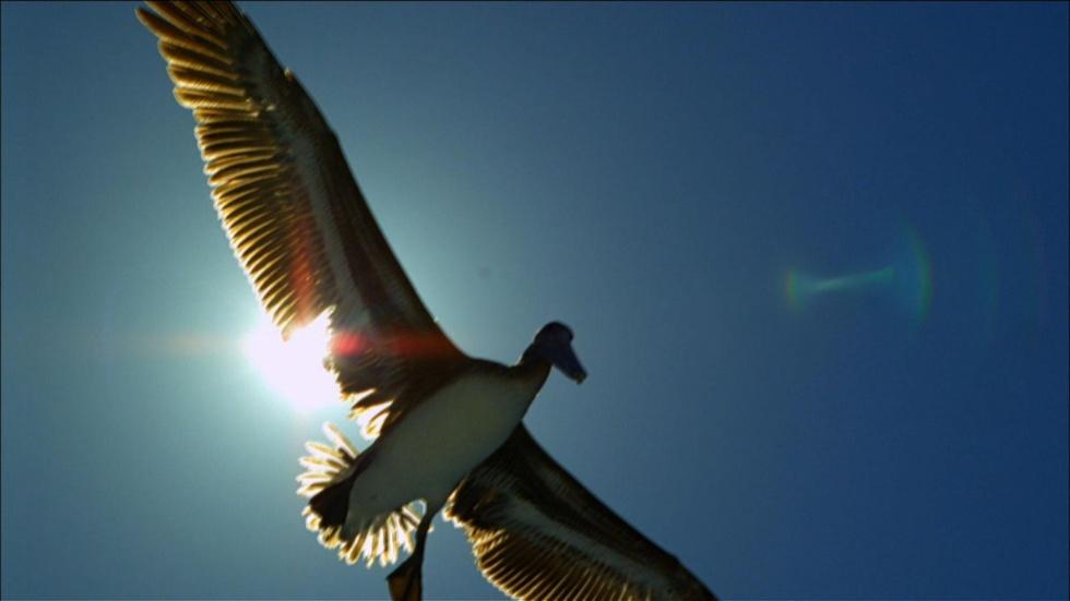 EARTHFLIGHT