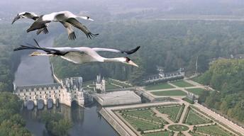 Earthflight: Europe
