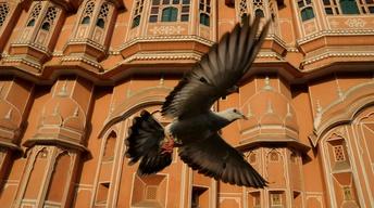 S1 Ep5: Earthflight: Asia and Australia