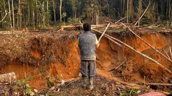 Illegal gold mining in the Amazon image