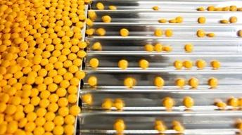 Clinical trials, nuclear waste, food trucks. image