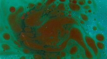 How to clean up an oil spill image