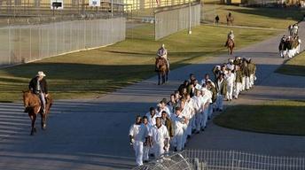 Prison reform image