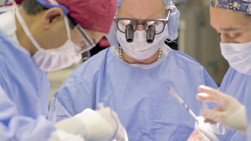S3 Ep4: Do No Harm and Danish Medical Courts image