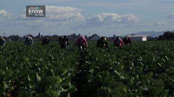 S3 Ep9: Main Street: Salinas, California