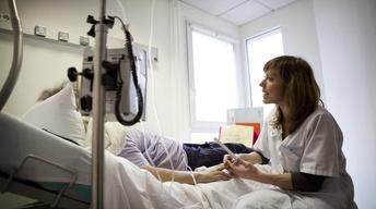 New study calls on immunotherapy to treat common cancers