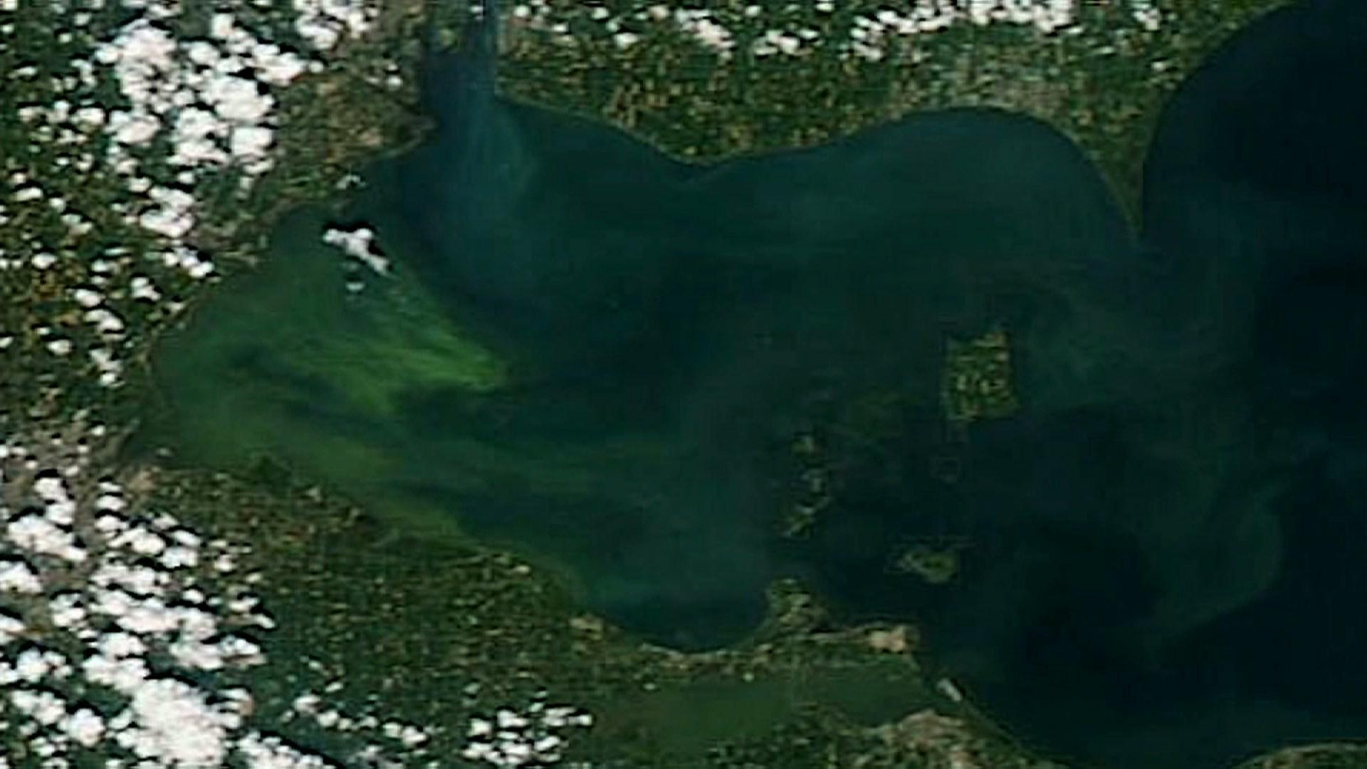 PBS NewsHour - Nutrient Pollution Creates Fertile Ground For Algae ...