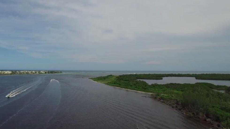 How septic tanks may imperil this Florida ecosystem image