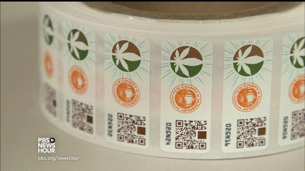 Budding regulation in one of California's marijuana meccas image