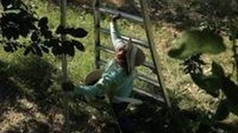 Crop Failure Leave Farm Workers Unemployed image