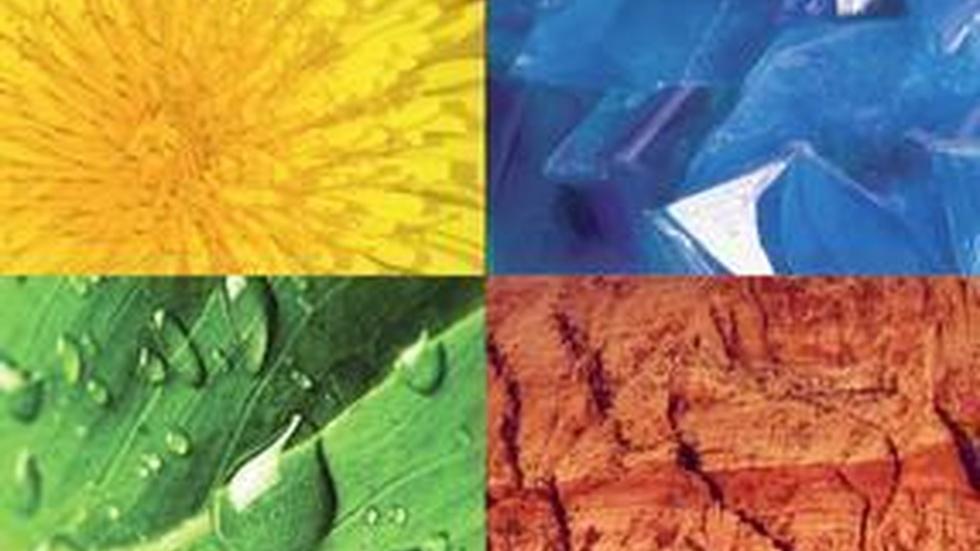 Bein' Green: Easier than You Think image