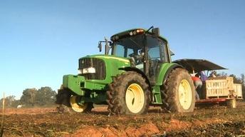 USAID Rethinks Who Gets Paid to Grow Food for Countries image