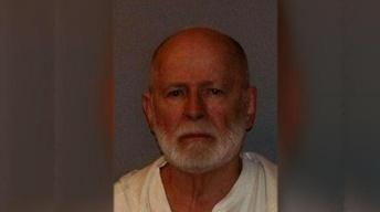 'Whitey' Bulger Trial Stars Institutional Corruption image