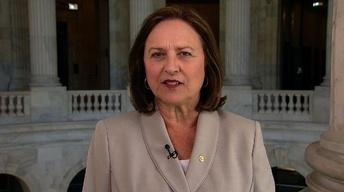 Sen. Deb Fischer: Obama Needs to Make Case for Strike image