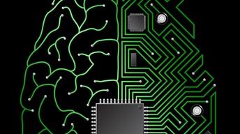 S5 Ep3: How Does the Brain Work?