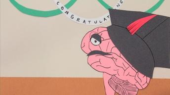 Hippocampus Humor image
