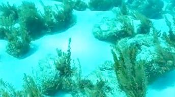 Exuma Cays 2