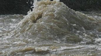 S42: The Power of the Flood Myth