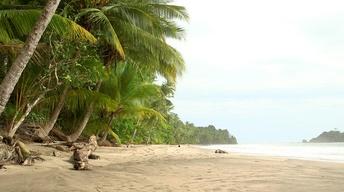 S42 Ep21: How Panama Changed the World