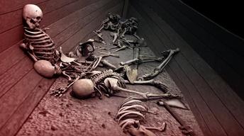 S43 Ep10: Vikings Unearthed Preview