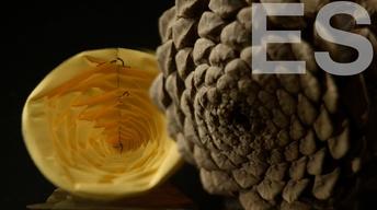 S44 Ep5: Nuestro Mundo de Origami