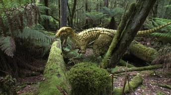 Australia: Monsters Preview image