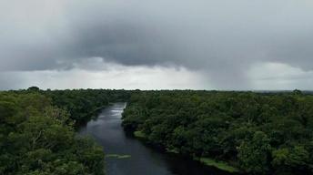 Fertilizing the Amazon
