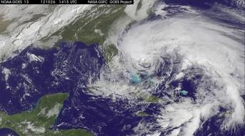 sandy-raw-5-1 image