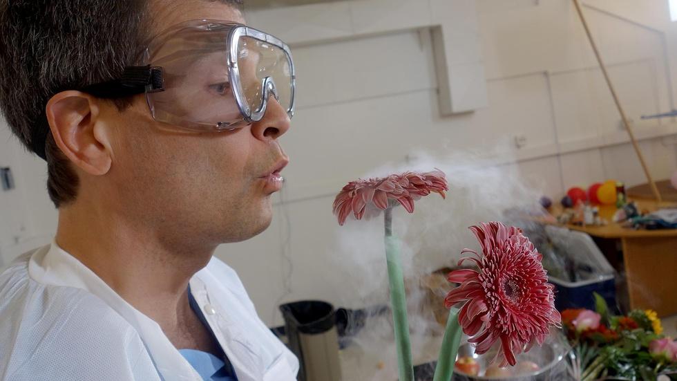S40 Ep20: Making Stuff Colder Preview image